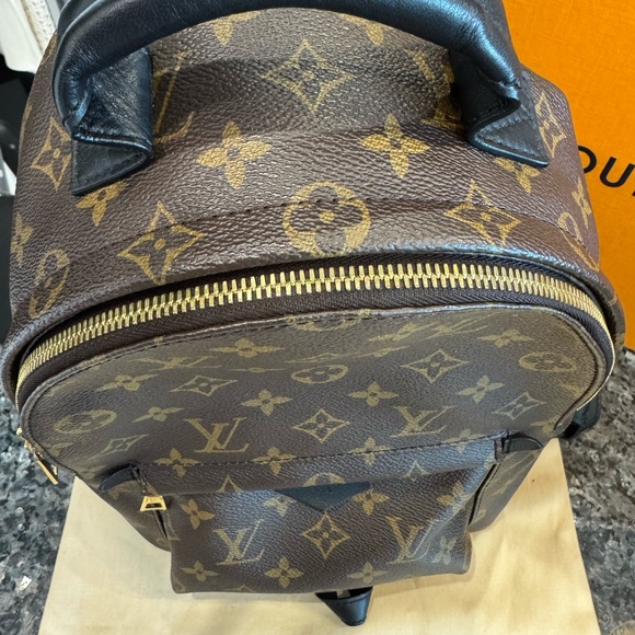 Louis Vuitton Palm Springs Monogram (Updated Zipper) PM main image 7